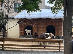 -HERRE·FARM 赫尔露营农场·团建聚会包场