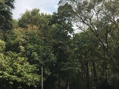 -紫金山天文台