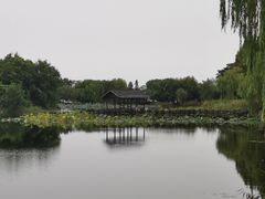 -上海市保健医疗中心