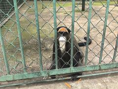 -秦皇岛野生动物园