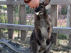 -水上乐园·欢乐世界