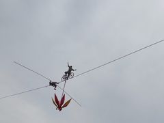 -太阳部落