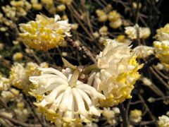 -无锡市市民中心