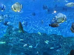 -横店影视城梦幻谷园区