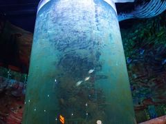 -青岛嘉年华主题乐园