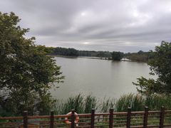 -大湾区中央湿地公园