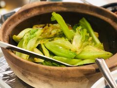 啫啫生菜煲-陶陶居·雅园(凯华国际店)