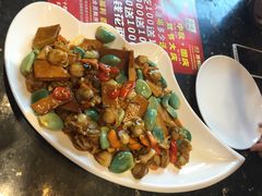 腊八蒜炒鸳鸯贝-奇滋豆味(南十四道街店)