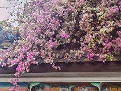 -深圳国际园林花卉博览园