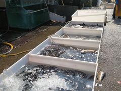 -顺鑫石门市场