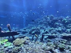 -珠海长隆海洋王国