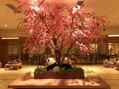 -大江户·温泉洗浴(浑南店)