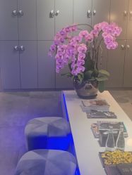 -SEBASTIAN塞巴斯汀