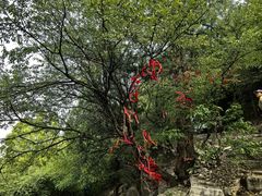 -青州市云门山风景区