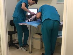 -美迦爱-牙专科·兔科·骨科诊疗中心(北苑店)