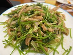 -聚发号清真菜馆