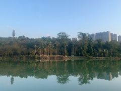 -广西壮族自治区药用植物园