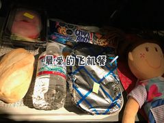 -达拉斯 沃斯堡国际机场