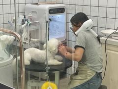 -Pets First伊珊娜洗护·精致美容·家庭式寄养(新会路店)