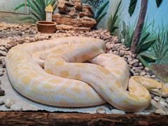 -石家庄市动物园