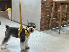 -DECAMERON十日谈(前海嘉里中心店)