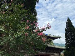 -报恩寺(平武县)