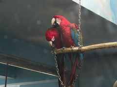 -济南野生动物世界