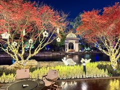 -青岛鑫江温德姆酒店