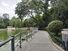 -莲湖公园
