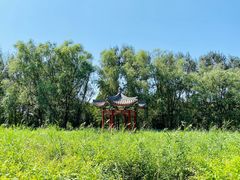 -北京麋鹿生态实验中心