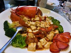 -上海新发展亚太JW万豪酒店