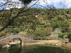-广东天露山旅游度假区