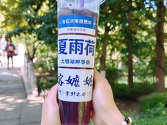 -济南大明湖景区