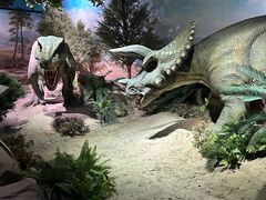 -国家自然博物馆