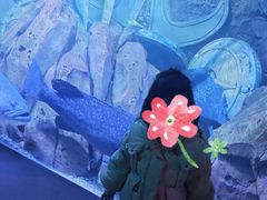 -哈尔滨波塞冬海底世界