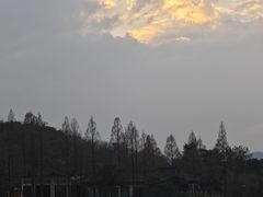 -西泠印社