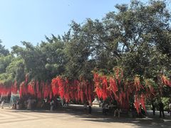 -西双版纳勐泐文化旅游区