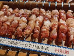 呼伦贝尔羊肉串-很久以前羊肉串(簋街店)