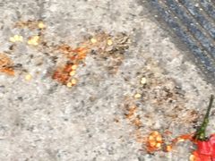 -东北人粗粮饺子坊(南山店)