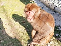 -玻璃桥景区石牛寨