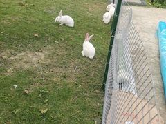 -洪湖家庭农场·团建·露营·会议