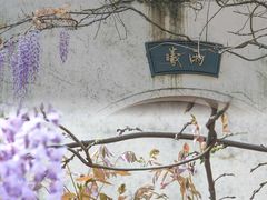 -嘉定紫藤园
