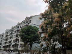 -马浜花园