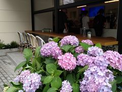 -Peet's Coffee皮爷咖啡(大学路店)