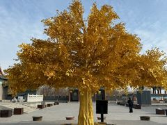 -哈密回王府景区