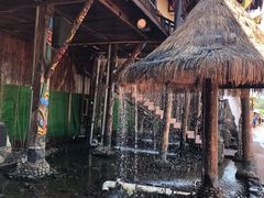 -北京呀路古热带植物园