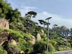 -罗红摄影艺术馆