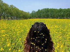 -天津武清北运河郊野公园房车露营地