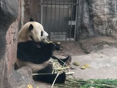 -太原动物园