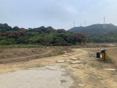 -清溪大王山森林公园